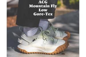 Nike ACG Mountain Fly Low Gore-Tex GTX