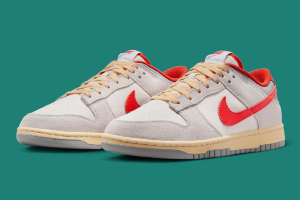 Nike Dunk Low