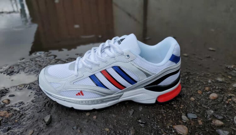 Кроссовки adidas spiritain 2000 deluxe. Adidas spiritain 2000. Кроссовки adidas sportswear spiritain 2000. Asics 1130 серебро. Adidas spiritain 2000 gore-tex.