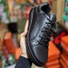 Ecco Biom c
