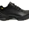 Кроссовки Ecco Biom natural