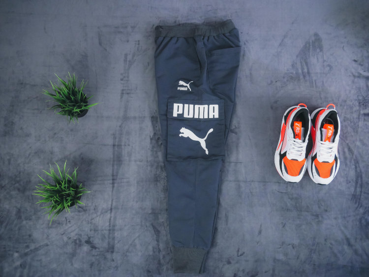 Штаны Puma gray